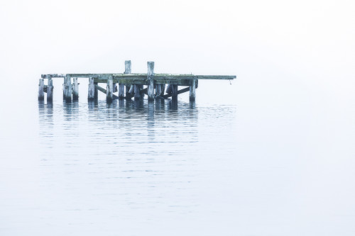 The old dock in the water near Djupavik; Djupavik, West Fjords, Iceland Poster Print by Robert Postma / Design Pics - Item # VARDPI12530948