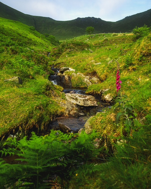 County Kerry, Ireland, Stream Near The Slieve Mish Mountains Poster Print by The Irish Image Collection / Design Pics - Item # VARDPI1806816
