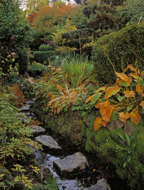 Tully Japanese Gardens, Co Kildare, Ireland; Japanese Garden Poster Print by The Irish Image Collection / Design Pics - Item # VARDPI1798295