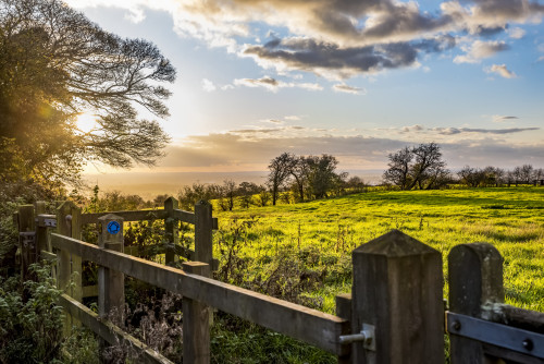 Sunset on the North Downs Way, Southern England; Kent, England; Kent, England Poster Print by Dosfotos / Design Pics - Item # VARDPI12548846