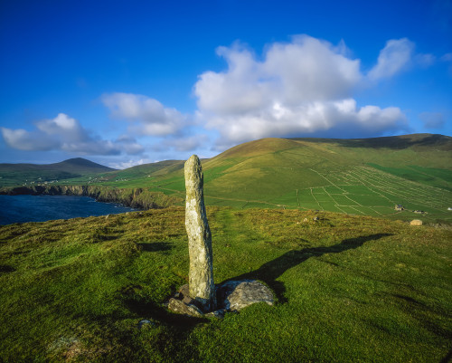 Ogham Stone, Dunmore Head, Dingle Peninsula, Co Kerry, Ireland Poster Print by The Irish Image Collection / Design Pics - Item # VARDPI1812724