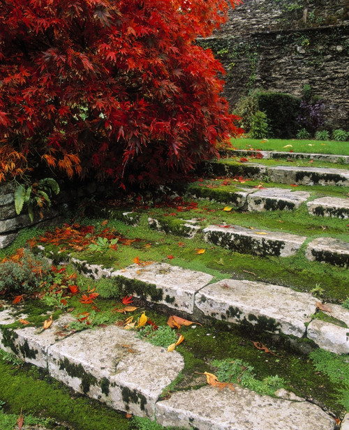 Steps On The Central Walk, Lismore Castle, Co Waterford, Ireland Poster Print by The Irish Image Collection / Design Pics - Item # VARDPI1798367