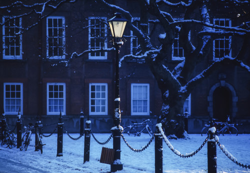 Trinity College, Dublin, Co Dublin, Ireland; College During Winter Poster Print by The Irish Image Collection / Design Pics - Item # VARDPI1808868
