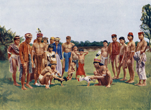 Cock Fighting On The Island Of Borneo.  From Customs Of The World, Published C.1913. Poster Print by Ken Welsh / Design Pics - Item # VARDPI12310053