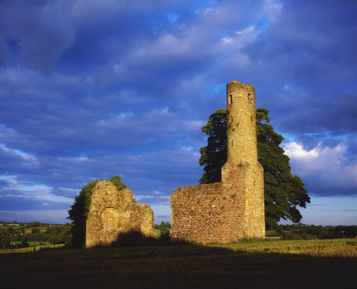 St Mary's Abbey, Ferns, Co Wexford, Ireland; Abbey Established In 1158 Poster Print by The Irish Image Collection / Design Pics - Item # VARDPI1809114