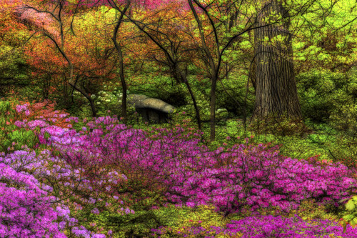 Azalea Garden, New York Botanical Garden; Bronx, New York, United States Of America Poster Print by F. M. Kearney / Design Pics - Item # VARDPI12329273