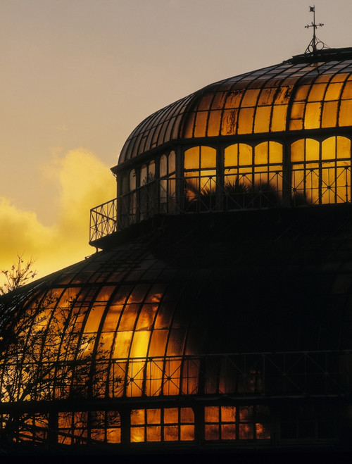 Great Palm House, Irish National Botanic Gardens, Dublin, Co Dublin, Ireland Poster Print by The Irish Image Collection / Design Pics - Item # VARDPI1798319