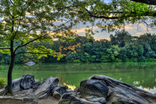 The Lake At The Hernshed, Central Park; New York City, New York, United States Of America Poster Print by F. M. Kearney / Design Pics - Item # VARDPI12329306 The Lake At The Hernshed, Central Park; New York City, New York, United States Of America Poster Print by F. M. Kearney / Design Pics - Item # VARDPI12329306