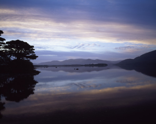 Lough Leane, Lakes Of Killarney, Killarney National Park, County Kerry, Ireland Poster Print by The Irish Image Collection / Design Pics - Item # VARDPI1840099