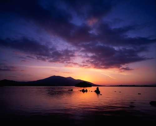Lough Leane, Lakes Of Killarney, Killarney National Park, County Kerry, Ireland Poster Print by The Irish Image Collection / Design Pics - Item # VARDPI1812343