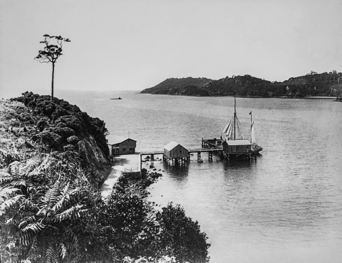 Glass Negative circa 1900.Victorian.Social History. A pier in New Zealand with sailing boat berthed Poster Print by John Short / Design Pics - Item # VARDPI12513265