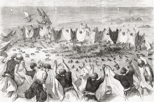 Quail Hunting On The Coast Of Syria In The Late 19th Century. From L'univers Illustre, Published 1866. Poster Print by Ken Welsh / Design Pics - Item # VARDPI12280352