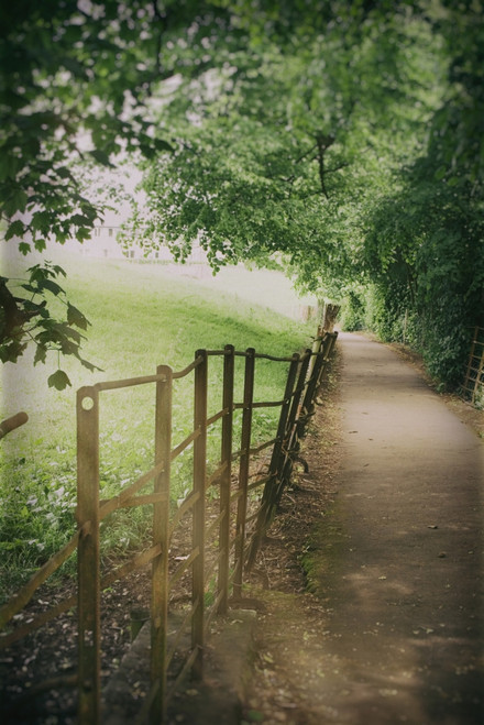 Shady path lined with trees and a fence along a field; Kirby Lonsdale, Lake District, Cumbria, England Poster Print by Hilary Jane Morgan / Design Pics - Item # VARDPI12545556