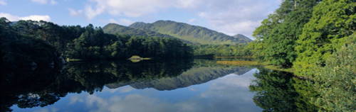 Reflection Of Trees And A Mountain In A Lake, Beara Peninsula, County Kerry, Republic Of Ireland Poster Print by The Irish Image Collection / Design Pics - Item # VARDPI1798860