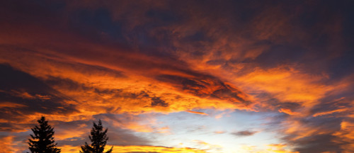 Dramatic colourful cloud formations at sunset with silhouette of evergreen trees; Calgary, Alberta, Canada Poster Print by Michael Interisano / Design Pics - Item # VARDPI12516364