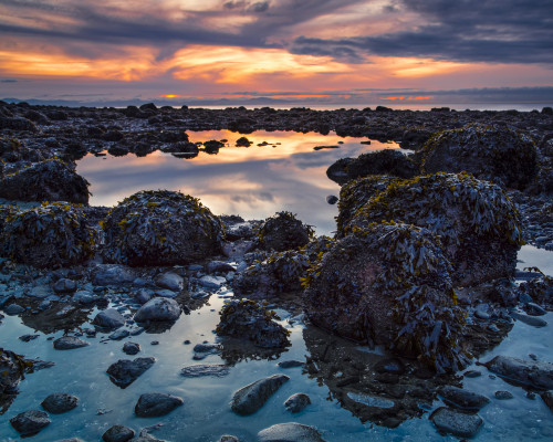 Warm colours from a sunset sky reflect in the tide pools on Acadia Beach; Vancouver, British Columbia, Canada Poster Print by Aaron Von Hagen / Design Pics - Item # VARDPI12514683 Warm colours from a sunset sky reflect in the tide pools on Acadia Beach; Vancouver, British Columbia, Canada Poster Print by Aaron Von Hagen / Design Pics - Item # VARDPI12514683