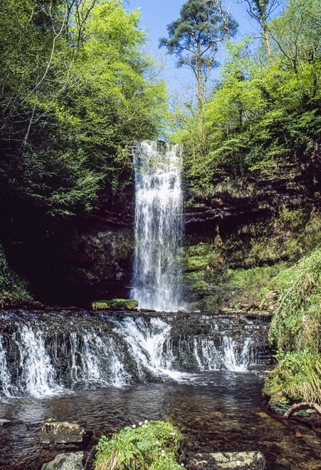 Glencar Waterfall, Co Sligo, Ireland; W.B. Yeats Made This Waterfall Famous In His Poem The Stolen Child Poster Print by The Irish Image Collection / Design Pics - Item # VARDPI1830174