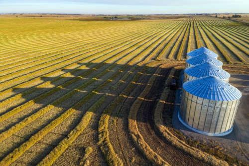 Aerial view of four large metal grain bins and canola harvest lines at sunset with long shadows; Alberta, Canada Poster Print by Michael Interisano / Design Pics - Item # VARDPI12516672