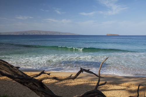 View Of Kahoolawe And Molokini Islands From Little Beach At Makena Beach State Park; Maui, Hawaii, United States Of America Poster Print by Peter French / Design Pics - Item # VARDPI12326097