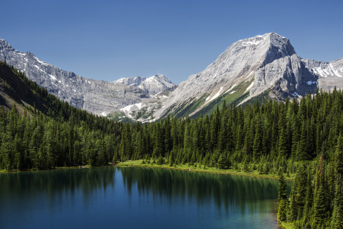 Colourful alpine lake surrounded by mountains and blue sky, Spray Lake Provincial Park; Kananaskis Country, Alberta, Canada Poster Print by Michael Interisano / Design Pics - Item # VARDPI12510882