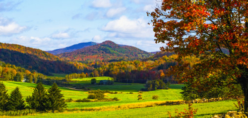 Landscape of forests on the hills with autumn coloured foliage and lush green fields in the foreground; Iron Hill, Quebec, Canada Poster Print by David Chapman / Design Pics - Item # VARDPI12510875