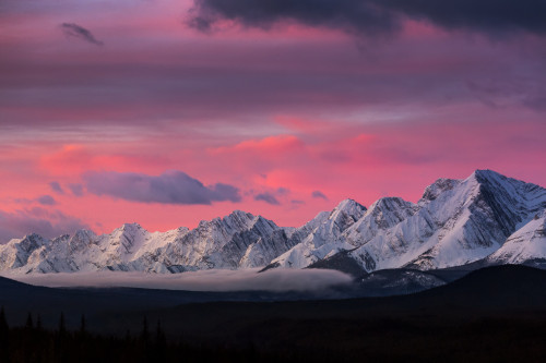 Dramatically Glowing Sky At Sunrise With Snow Covered Mountain Range And Fog In The Valley; Kananaskis Country, Alberta, Canada Poster Print by Michael Interisano / Design Pics - Item # VARDPI12325965