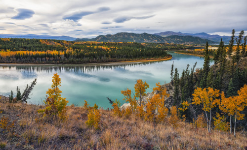 Takhini River that runs near Whitehorse, Yukon. Taken during autumn so the landscape is bright with colour; Whitehorse, Yukon, Canada Poster Print by Robert Postma / Design Pics - Item # VARDPI12547744