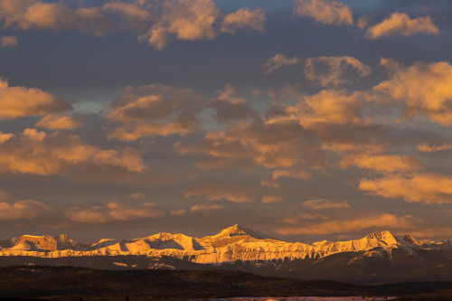 Glowing Warmly Lit Snow Covered Mountain Range And Foothills With Glowing Clouds And Blue Sky At Sunrise; Calgary, Alberta, Canada Poster Print by Michael Interisano / Design Pics - Item # VARDPI12325944