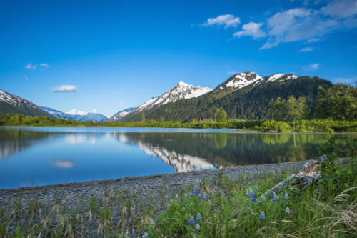 The calm waters on a unnamed lake in Portage Valley on a sunny, summer evening in South-central Alaska; Alaska, United States of America Poster Print by Michael Jones / Design Pics - Item # VARDPI12548463