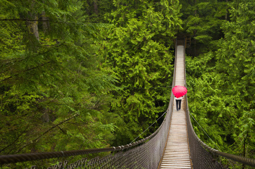 Woman With A Red Heart-Shaped Umbrella Crossing The Lynn Canyon Suspension Bridge, North Vancouver; Vancouver, British Columbia, Canada Poster Print by Corey Hochachka / Design Pics - Item # VARDPI12329536