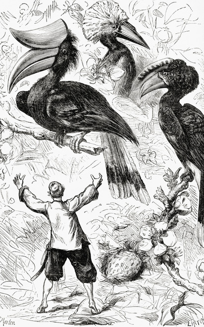 The Smaller Birds Did Not Appear To Be At All Afraid Of Me.  From Gulliver's Voyage To Brobdingnag.  From Gullivers Travels Published C.1875 Poster Print by Hilary Jane Morgan / Design Pics - Item # VARDPI12321175