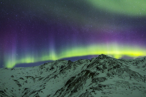 Aurora Borealis Over Mountains Within Denali National Park On A Very Cold Winter Night.  The Andromeda Galaxy Is Visible To The Left; Alaska, United States Of America Poster Print by Steven Miley / Design Pics - Item # VARDPI12325607