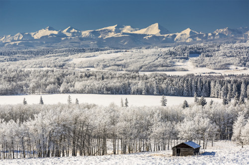 Small log cabin amongst frosted-covered trees, snow-covered rolling hills with snow-covered mountains and blue sky in the background, North of Turner Valley; Alberta, Canada Poster Print by Michael Interisano / Design Pics - Item # VARDPI12554647