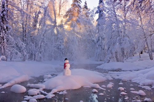 Snowman Standing On A Small Island In The Middle Of A Stream With Sunrays Shining Through Fog And Hoar Frosted Trees In The Background Russian Jack Springs Park Anchorage Southcentral Alaska Winter Digitally Enhanced Kevin G Smith # VARDPI2331976