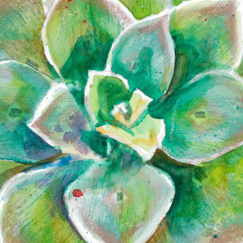 Green Succulent Close Up Poster Print by Patricia Pinto - Item # VARPDX12908J