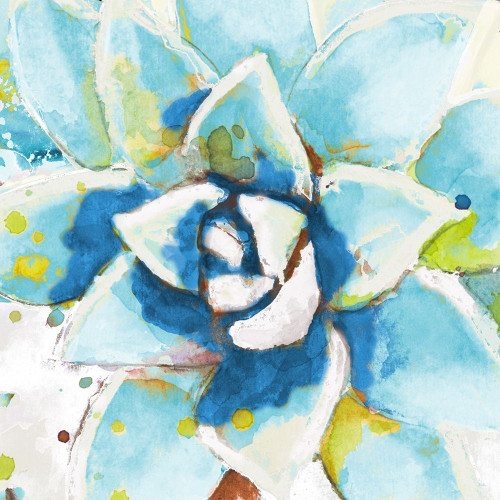 Cool Aqua Succulent Close Up Poster Print by Patricia Pinto - Item # VARPDX12910DA