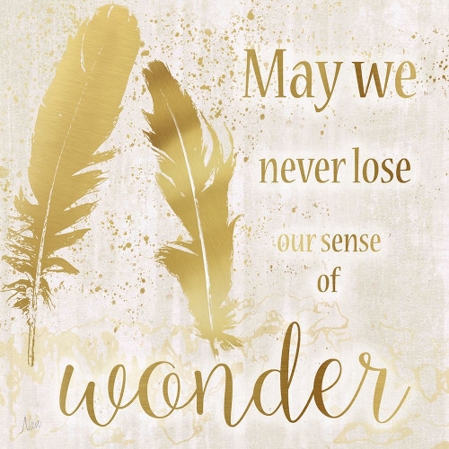 Feathers Wonder Poster Print by Nan Nan - Item # VARPDX16732