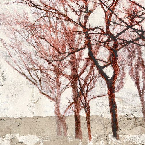 Rusty Trees II Poster Print by Aprile Alessio