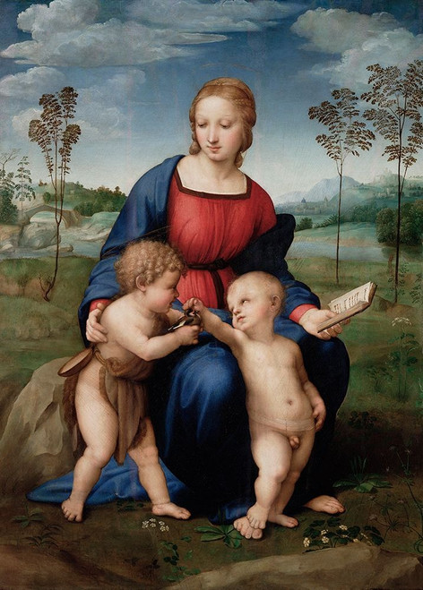 Madonna of The Goldfinch Poster Print by Raphael Raphael - Item # VARPDX279524