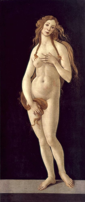 Venus Pudica Poster Print by Sandro Botticelli - Item # VARPDX281753