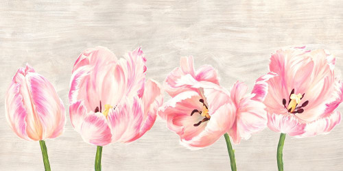 Classic Tulips Poster Print by Thomlinson Jenny - Item # VARPDX2JT4921