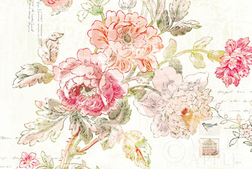 Cottage Roses I Poster Print by Sue Schlabach - Item # VARPDX31596