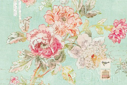 Cottage Roses I Blue Poster Print by Sue Schlabach - Item # VARPDX31599