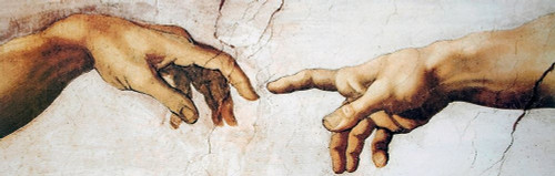 Creation Of Adam Detail Poster Print by Michelangelo Michelangelo - Item # VARPDX373536