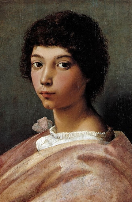 Portrait Of A Young Man Poster Print by Raphael Raphael - Item # VARPDX373988