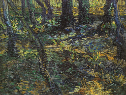 Undergrowth Poster Print by Vincent Van Gogh - Item # VARPDX374578