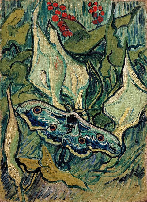 Emperor Moth Poster Print by Vincent Van Gogh - Item # VARPDX374634