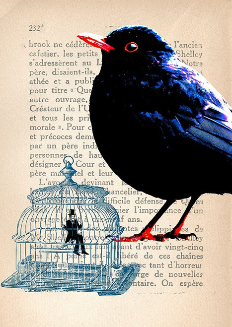 Cage a lhomme Poster Print by Lamanche Stef - Item # VARPDX3SL4942