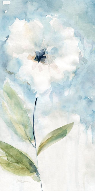 Kiss of Summer I Poster Print by Carol Robinson - Item # VARPDX40734