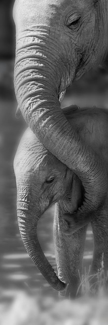 Morning Moment Poster Print by Michele Westmorland - Item # VARPDX40858